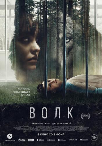 ���� / Wolf (2021)