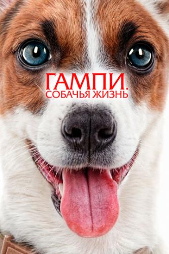 �����. ������� ����� / Gump - Jsme dvojka (2024)